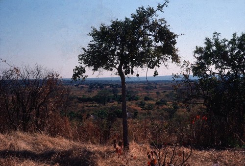 Lake Tanganyika in distance from road going down escarpment