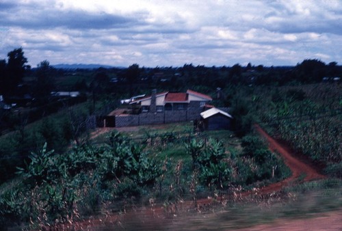 Homestead, approaching small town in Zimbabwe