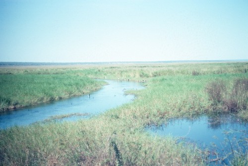 Seasonal streams and marshy wetlands that drain into Lake Mweru Wantipa, some ten miles away