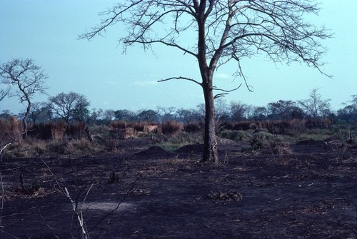 Field burnt in Kaputa salt camp