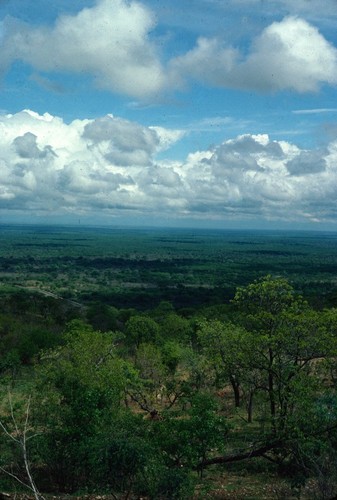 View of Luangwa Valley