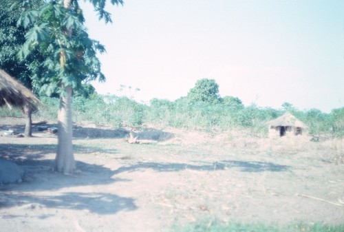 Houses at Nsama village, Nsama