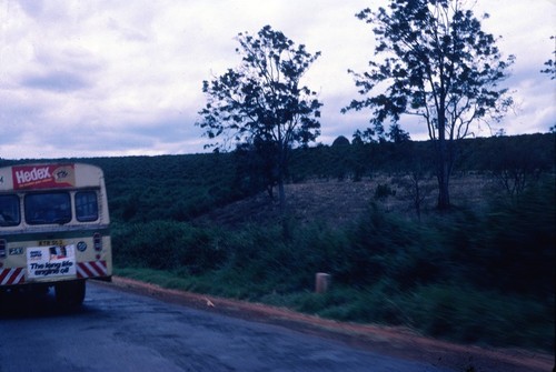 Public Bus at Diani Beach, Mombasa, Kenya