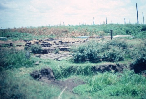 Bricks drying in the sun at Kaputa, Northern Province, Zambia