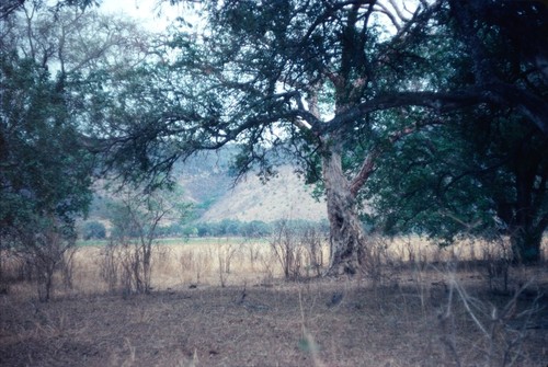 Landscape in Sumbu Game Park, near Lake Tanganyika, Kaputa District