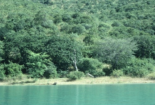 Shore of Lake Tanganyika, near Nkamba Bay Lodge