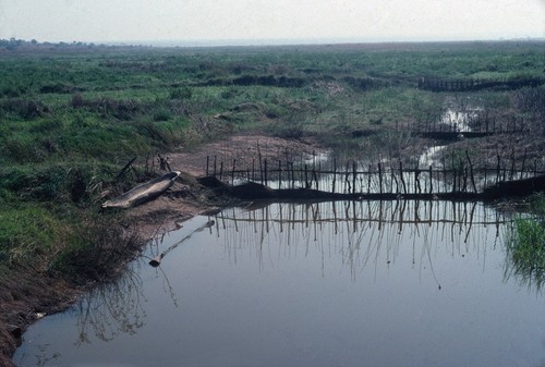 Fishing weir on stream and dugout canoe near Kaputa