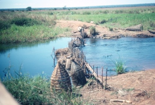 Fishing weir and traps on stream near Kaputa