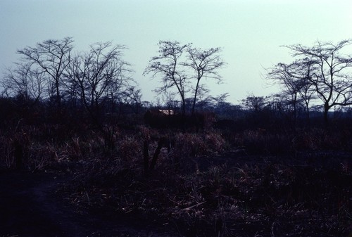 Area surrounding a salt-making camp near Kaputa village