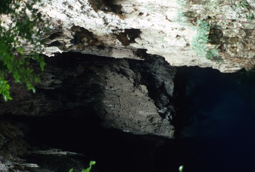 View from outside the Chinhoyi Caves in Zimbabwe