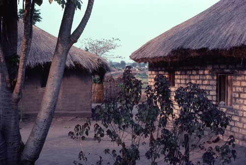 Compound of neighbors homes in Kaputa village