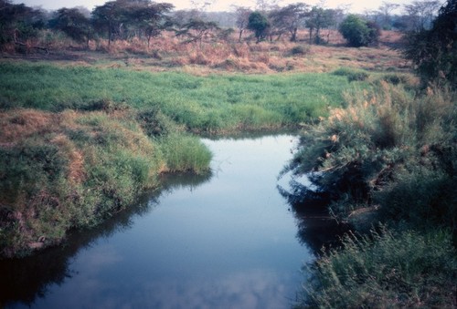 Stream flowing through Kaputa, Northern Province