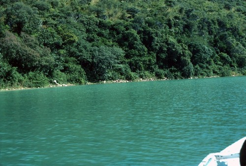 Shore of Lake Tanganyika