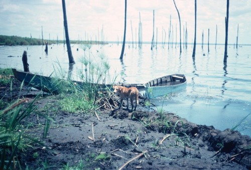 Shore of Kasongole fishing village on Lake Mweru Wantipa