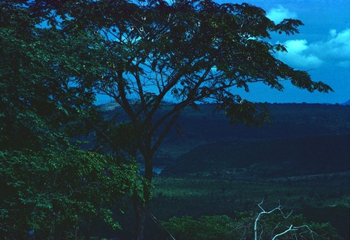 Views near Lake Tanganyika near Kasaba Bay, Mbala