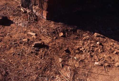 Remnants of iron working site near Sumbu village