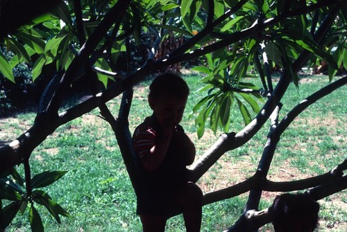 Portrait of Daniel Cancel (left) and Anna Huckabay Sitting in a Frangipani tree in Lusaka