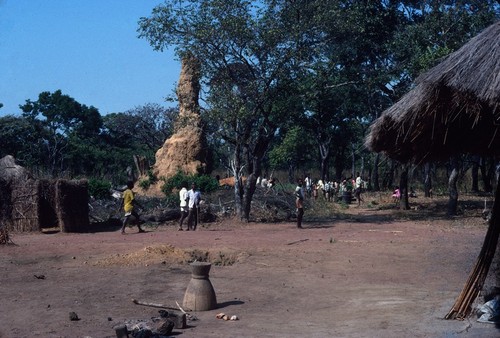 Termite mound behind homestead at Mukupa Katandula, Northern Province