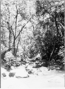 View of a river valley, Marangu, Tanzania, ca.1901-1910