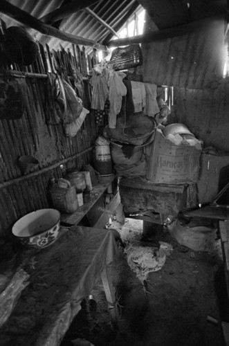 Rooster in a house, San Basilio de Palenque, Colombia, 1977