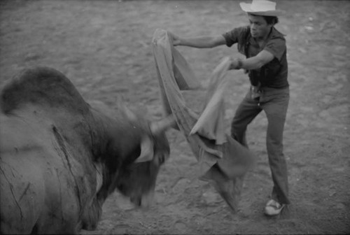 Bullfighter waves a cape in front of a bull, San Basilio de Palenque, 1975