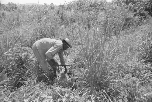 Man working in a field, San Basilio de Palenque, 1976