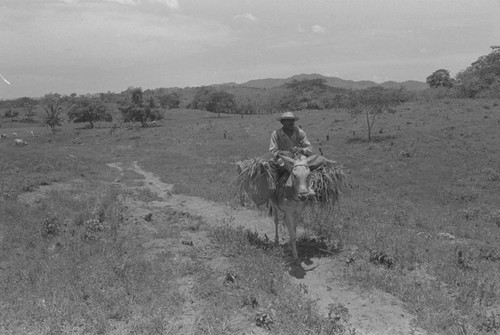 Man on a mule, San Basilio de Palenque, 1976