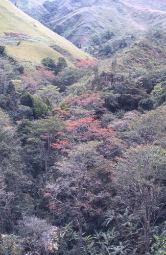 An aerial view, Tierradentro, Colombia, 1975