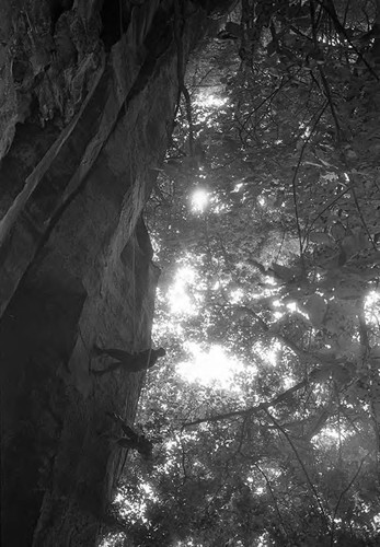 Claflin demonstrates rappelling, Liberal, 1982