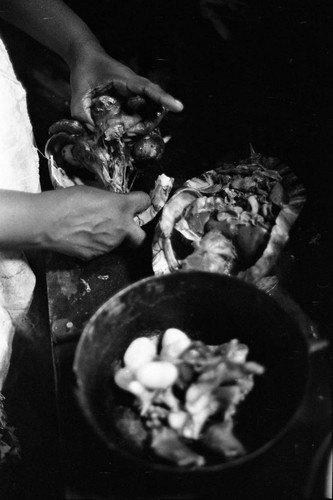 Woman cooking a turtle, San Basilio de Palenque, 1977