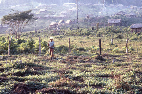 Guatemalan refugee work in a field, Ixcán, 1983