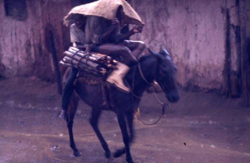 Boys riding a mule in the rain, San Basilio de Palenque, 1976