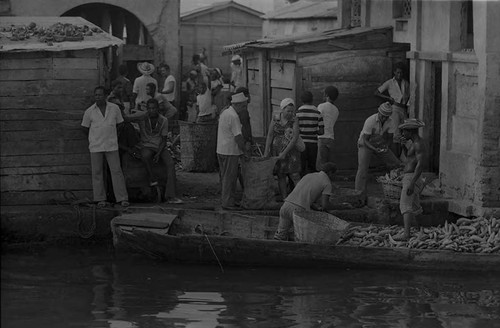 Men unload bananas from a boat, Cartagena Province, 1975