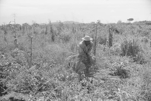 Man working in a field, San Basilio de Palenque, 1976