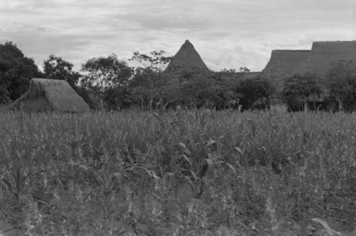 Homes in La Chamba, La Chamba, Colombia, 1975