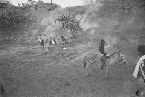 A boy riding mule, San Basilio de Palenque, 1977