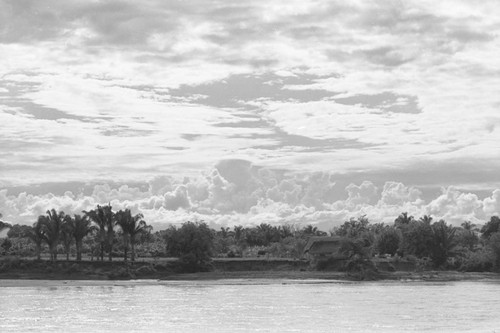 Panoramic view of a section of the Magdalena River, La Chamba, Colombia, 1975