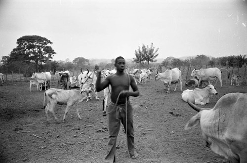 Boy herding cattle, San Basilio de Palenque, 1977