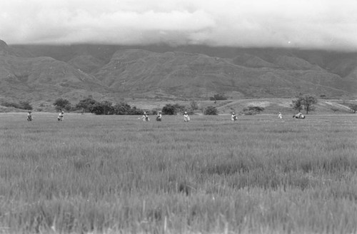 Sowing the field, La Chamba, Colombia, 1975