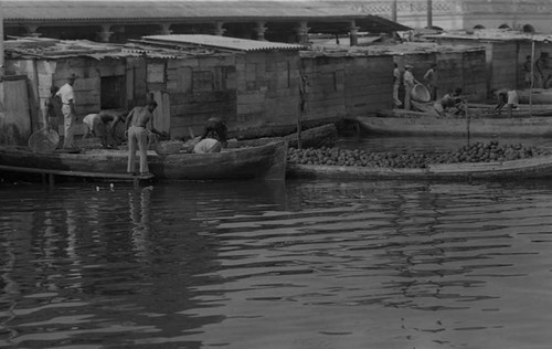 Men unload fruits from boats, Cartagena Province, 1975