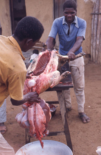 Men butchering a pig, San Basilio de Palenque, 1976