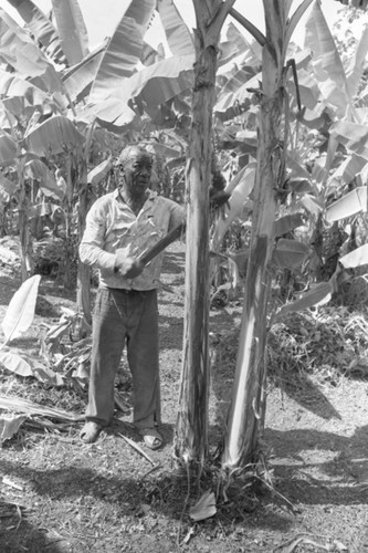 Fermín Herrera working with machete, San Basilio de Palenque, 1976