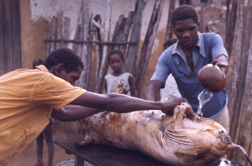 Two men cleaning a dead pig, San Basilio de Palenque, 1976