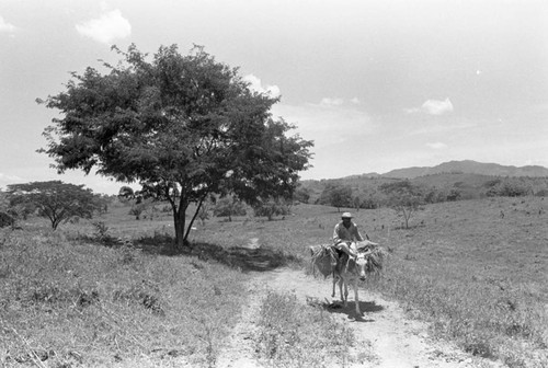 Man on a mule, San Basilio de Palenque, 1976