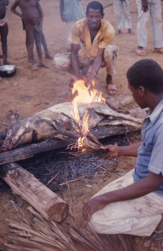 Men cooking a pig, San Basilio de Palenque, 1976