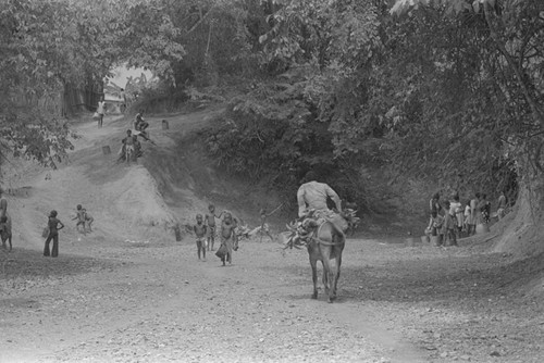 Man riding a mule by the river, San Basilio de Palenque, 1976
