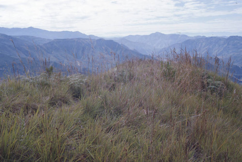 A panoramic view of the mountains, Tierradentro, Colombia, 1975