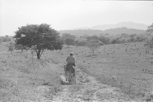 Man riding a mule, San Basilio de Palenque, 1976