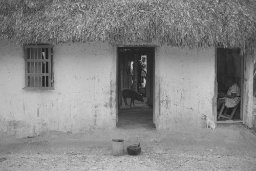 Woman sitting inside a house, San Basilio de Palenque, 1976