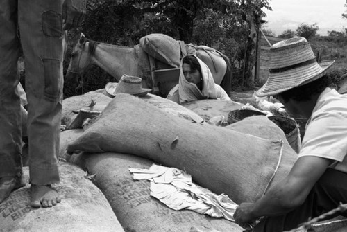 Men out on the field, La Chamba, Colombia, 1975